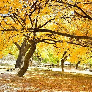 7 Day Private Tour and Explore Skardu, Lahore, and Islamabad